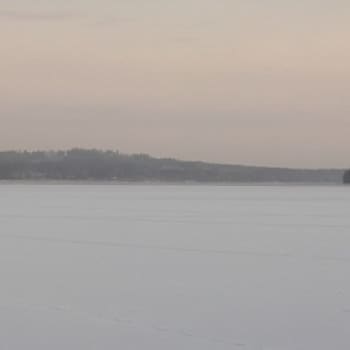 YLE Savo: Neljän ja puolen sentin jää rannassa
