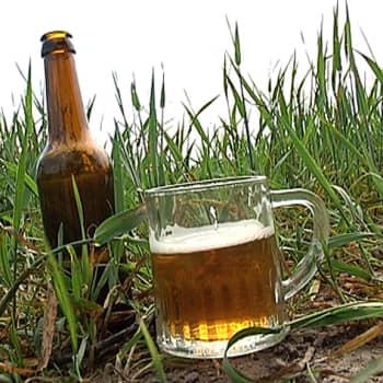 YLE Kymenlaakso: Uusi pienpanimoyrittäjä: "Halutaan tehdä hirveitä määriä olutta"