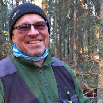 Metsäradio.: Metsä sulaa Koijärvellä