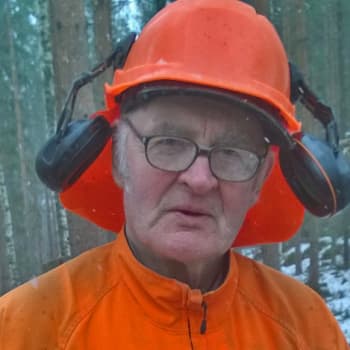 Metsäradio.: Metsuri Heikki Uitus tekee ansiotöitä 80-vuotiaana