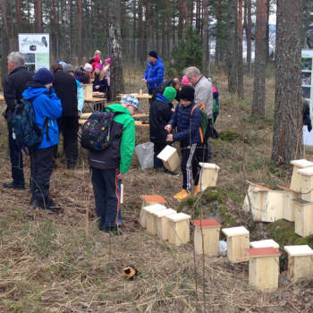 Metsäradio.: Suuren pönttötalkoot Suomen luonnon päivänä