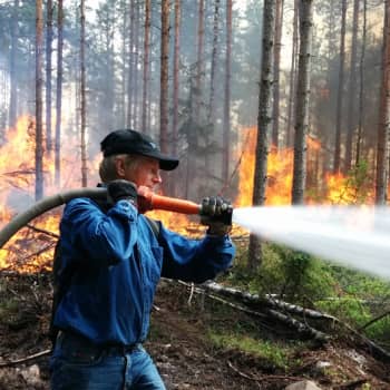 Metsäradio.: Metsäpalo uhkaa kesällä