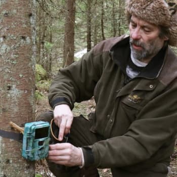 Metsäradio.: Riistakamerat kertovat metsästä