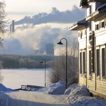 Kultakuume: Oulun talvi inspiroi vaatemalliston ruuhkavuotisille naisille