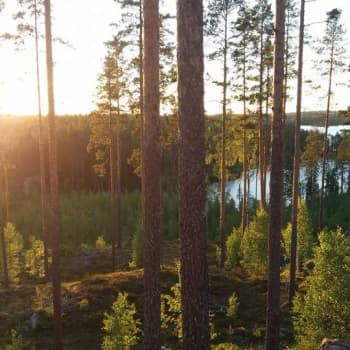 Radio Suomi Mikkeli: Asuntokaupan tulevaisuus Pieksämäellä – ennusteet povaavat hintojen laskua