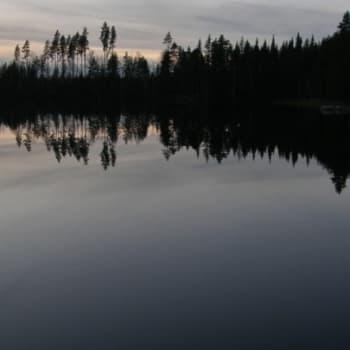 Luonto-Suomi.: Luonto-Suomen sininen hiljaisuus