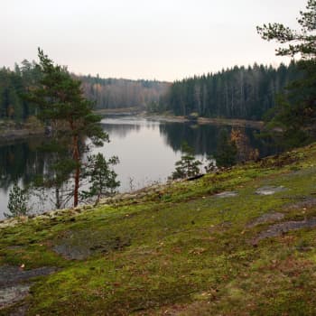 Luonto-Suomen syksy