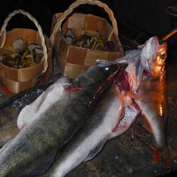 Luonto-Suomen kalaruokailta
