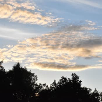 Tiedeykkönen: Kesä on pilvibongauksen aikaa - taivaalla vaeltavat pumpulipallot, kalanruodot ja pilviufot