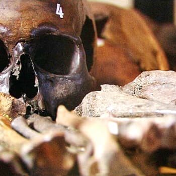 Muinaisgenomitutkimus kertoo mistä kansoista nykysuomalaiset on sekoitettu