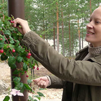 Radio Suomesta poimittuja: Saimi Hoyer: Pysähtykää Suomen suurimman aarteen äärelle ja menkää metsään!