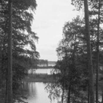 Ihminen ja luonto. Kirjailija A. E. Järvinen (1963) 