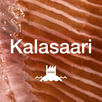 Kalasaari