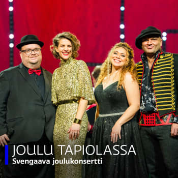Joulu Tapiolassa