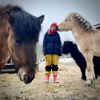 Sarjakuvataiteilija Milla Paloniemi perusti ponifarmin, jossa eläimet saavat köpötellä kuistillekin