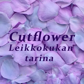 Cutflower – leikkokukan tarina