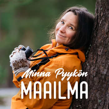 Minna Pyykön maailma: Jäkäliä ja jäkälätutkimusta 2.7.2011