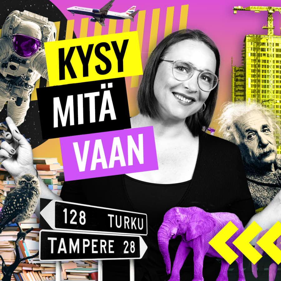 Kysy mitä vaan pornosta: Haikaileeko suomalainen seksifantasioissaankin edelleen mökille, luontoon ja saunaan?  