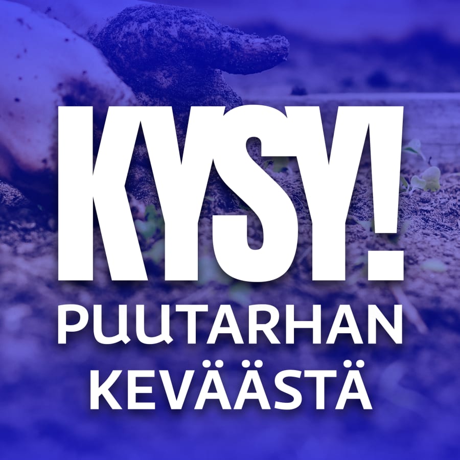 KYSY! Puutarhan keväästä