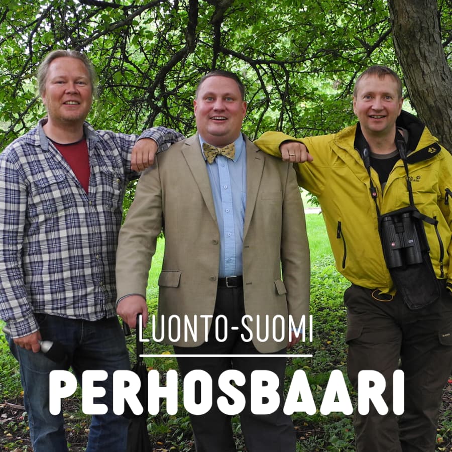 Luonto-Suomen perhosbaari