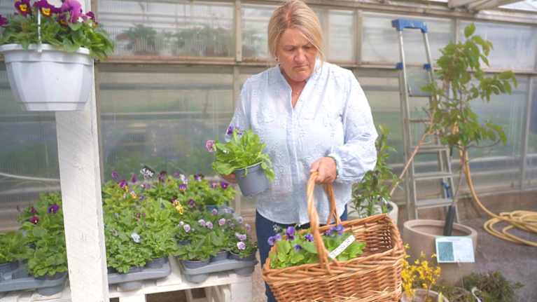En person håller en korg och en blomkruka i ett växthus med flera växter runtomkring.