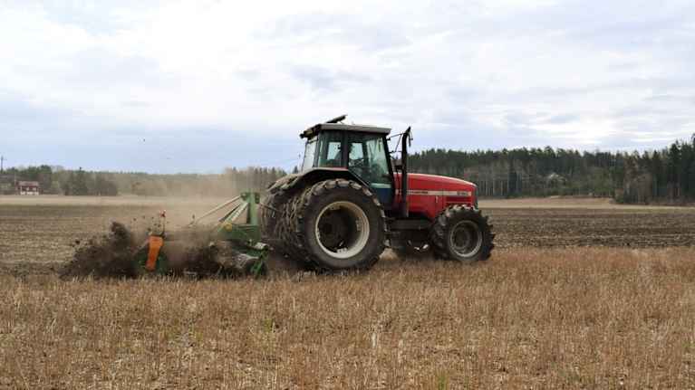 En röd traktor harvar på en dammig åker i ett nästan grönskande vårlandskap.