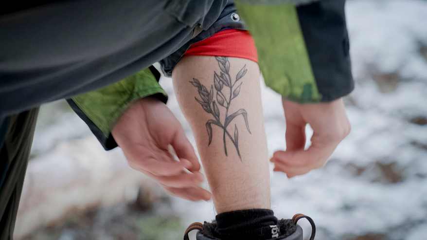 Ulkohousujen lahje on ylhäällä ja kädet nostavat sukkaa paljaaseen pohkeeseen, jossa on tatuointi kauralajikkeesta. 