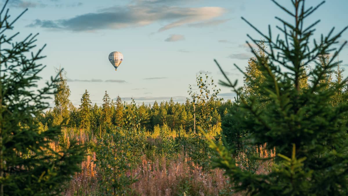 Kuumailmapallo lentää metsän yläpuolella.