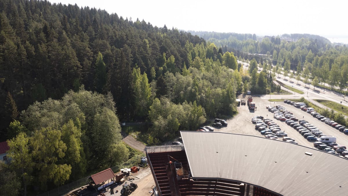 Parkkipaikan metsänreunaa ilmasta kuvattuna.