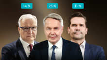 kuvakollaasi, missä Olli Rehn, Pekka Haavisto sekä Mika Aaltola