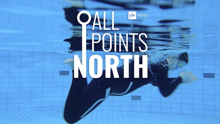 A man dives into a swimming pool.