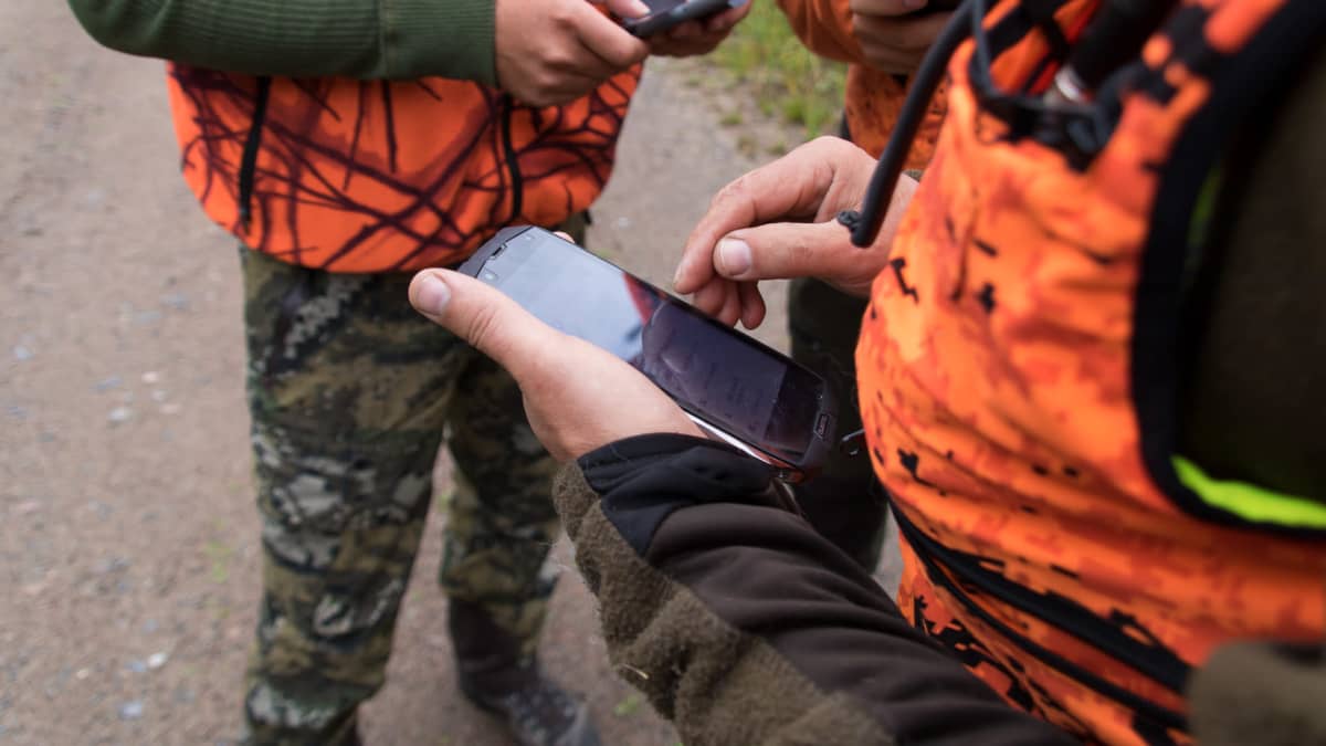 Metsästäjät katsovat puhelimen karttasovelluksesta metsästyskoiran liikkeitä.