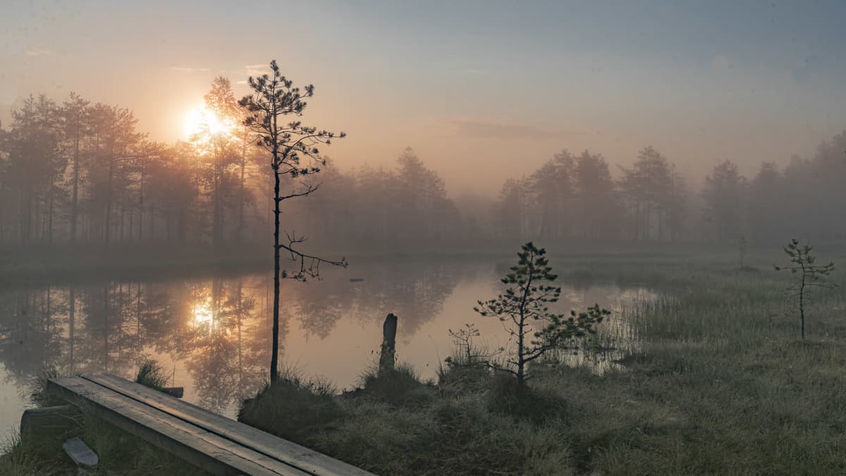 Kuvassa näkyy aamu-usvaa järven yllä ja auringonnousu.