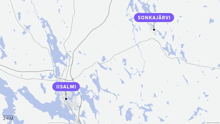 Jopa 40 Kissaa Ja Yli Kymmenen Koiraa Piti Lopettaa Kaltoinkohtelun 