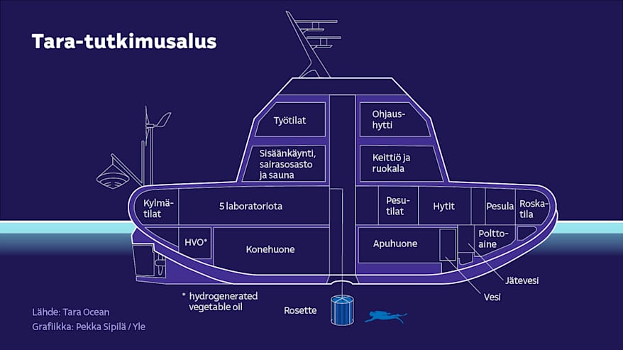 Havainnekuva Tara-tutkimusaluksen rakenteesta.