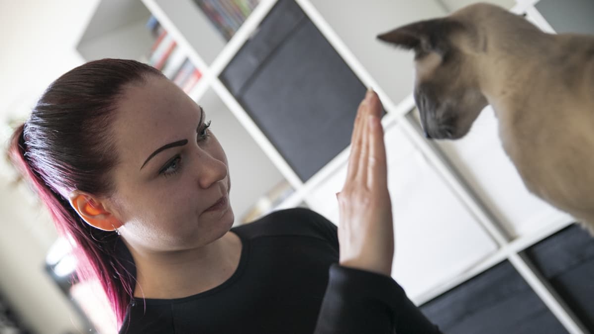 Ponihäntäinen nuori nainen katsoo kissaa ja pitää sen naaman lähellä kämmentään pystyssä. Kissa katsoo kättä. 