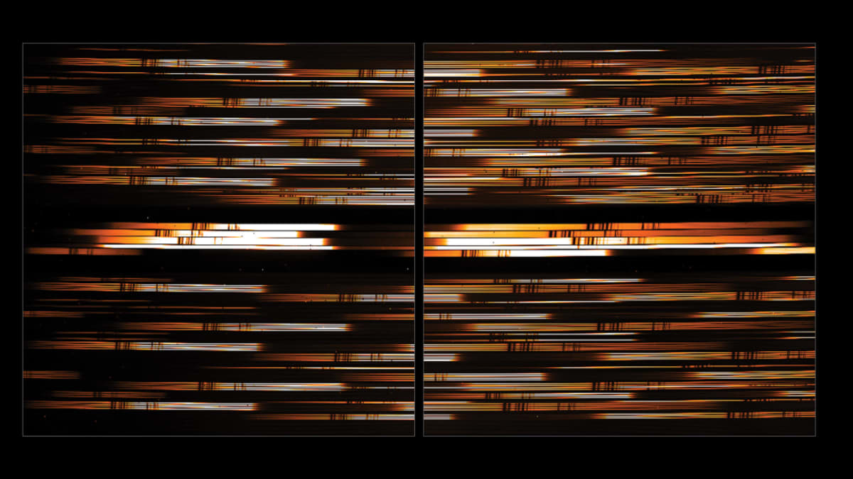 Simuloitu kuva siitä, mitä Webbin NIRSpec-havaintolaite "näkee". Se hajoittaa havaintokohteiden valon osiin ja pystyy havaitsemaan kerrallaan useita eri kohteita.