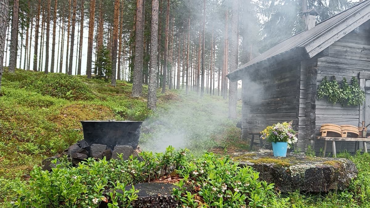 Kuvassa näkyy metsä ja pieni mökki.
