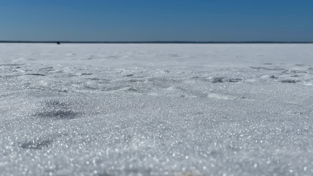 Säkylän Pyhäjärvi jäässä.