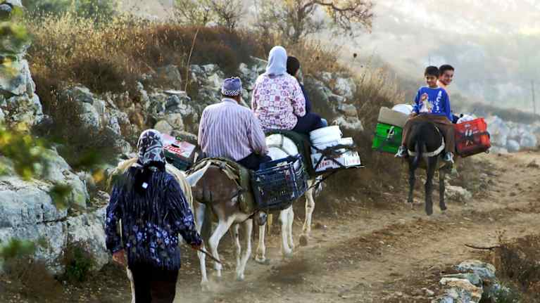 Palestinsk familj rider på sina åsnor på väg till sina odlingar. Åsnorna bär på toma lådor. Längst fram rider två barn som tittar bakåt och ler.