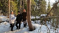 Tre personer i skogen. 