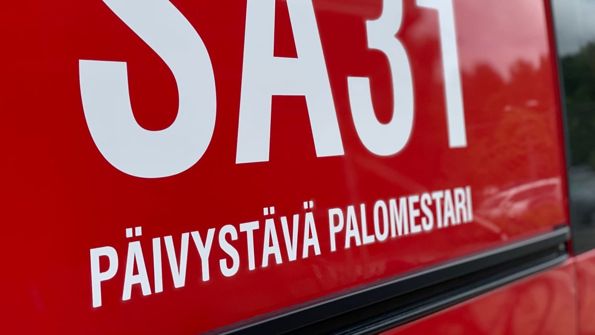 Paloauto.