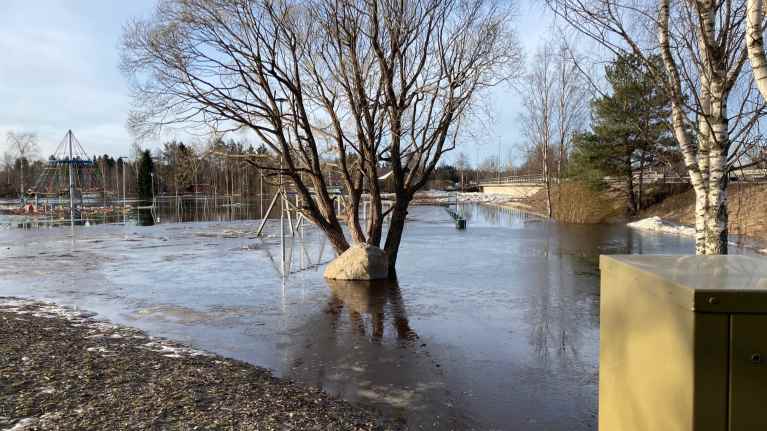 Joki tulvii Alavieskassa. Taustalla näkyy lasten leikkipuisto. Keskellä kuvaa on puu. Maa on veden vallassa.