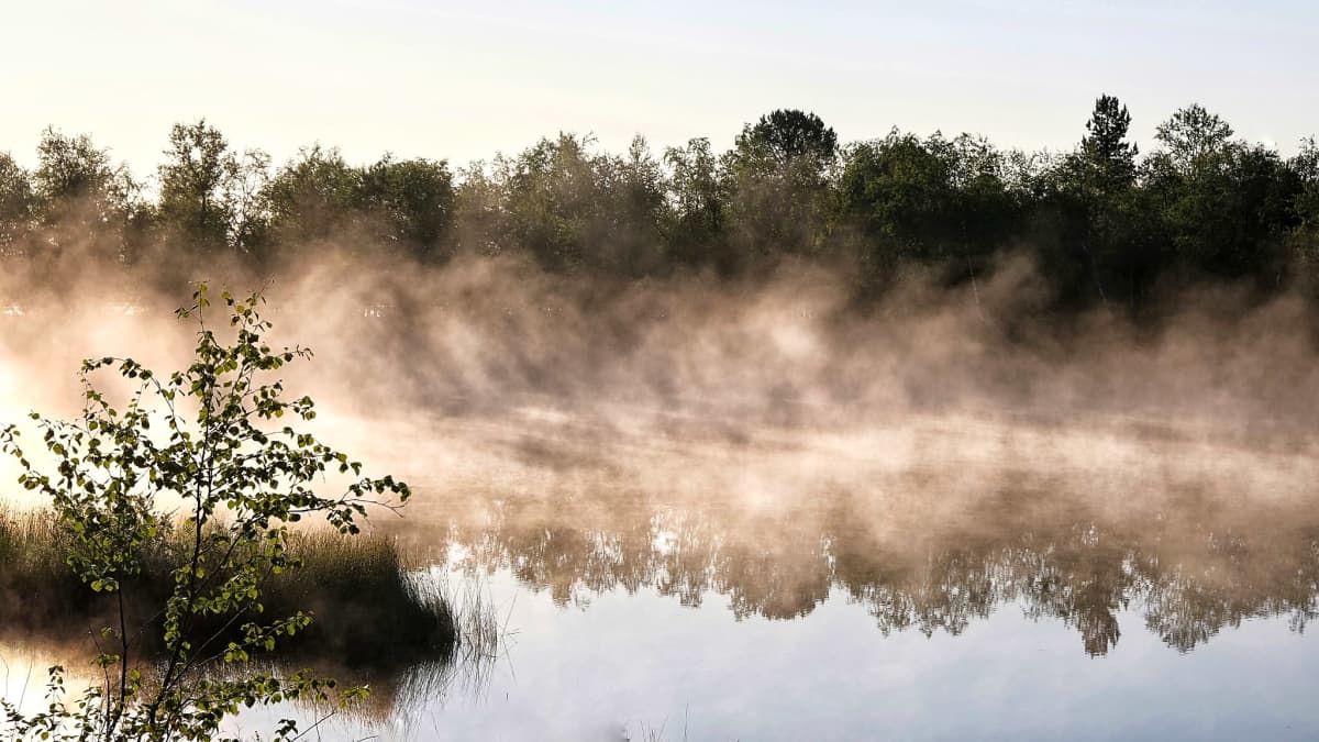 Varhainen aamu Sevettijärvellä. Aurinkoista ja järvestä nousee usvaa. 