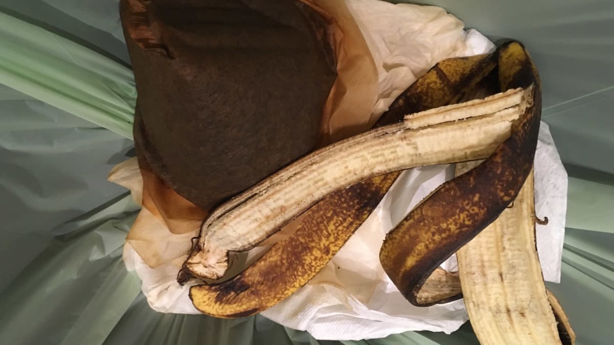 Tyypillistä biojätettä: kahvisuodatin ja banaaninkuori
