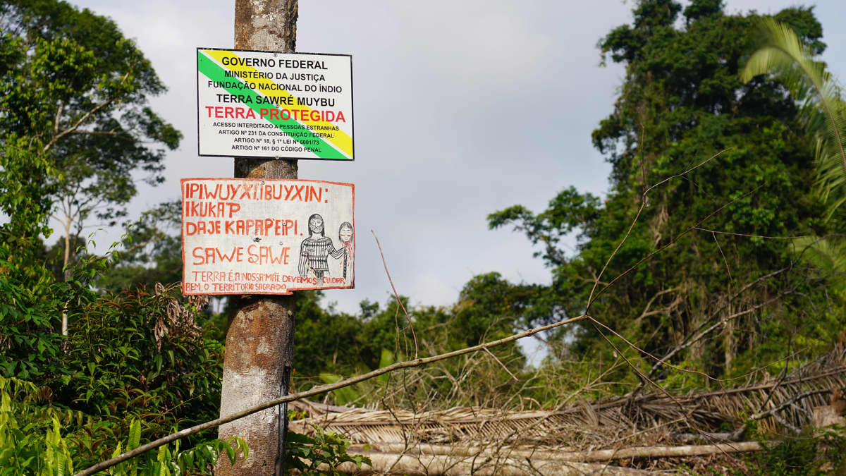 Mundurukut ovat merkinneet varoituskylteillä Daje Kapap Eipi -nimisen alueensa rajat.