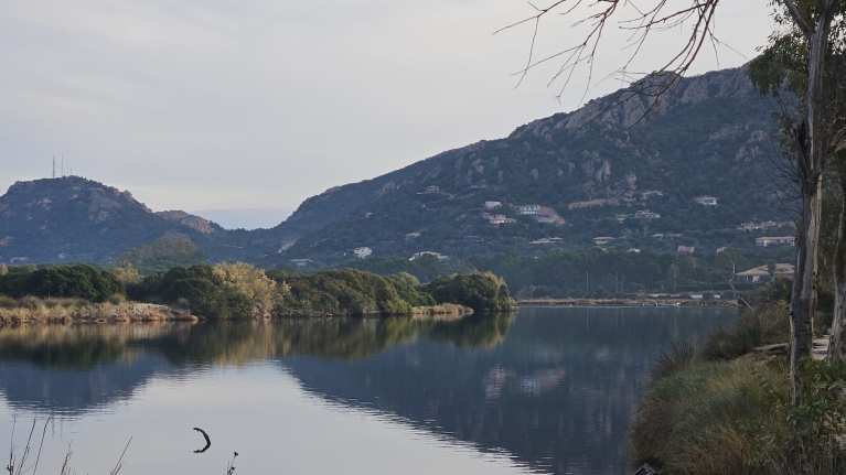 Kuva Korsikasta Vesku-sääksen talvehtimispaikasta
