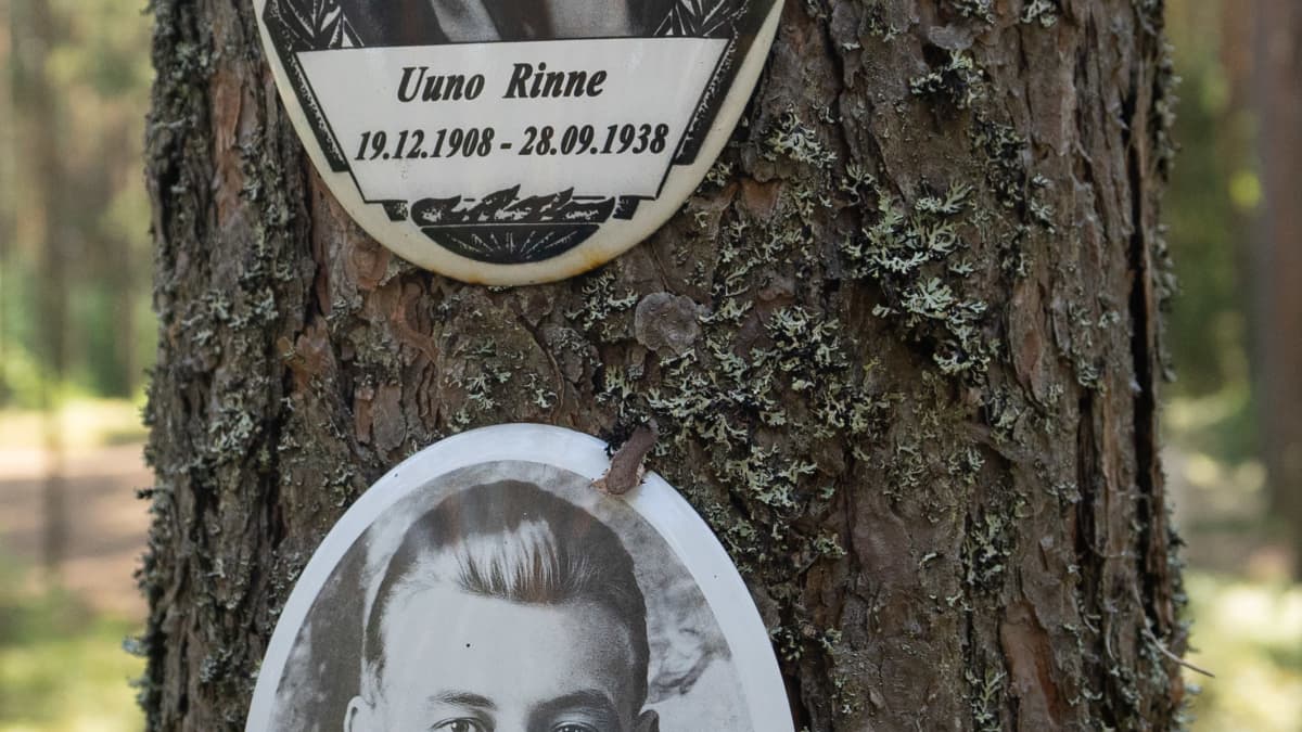Uuno Rinne