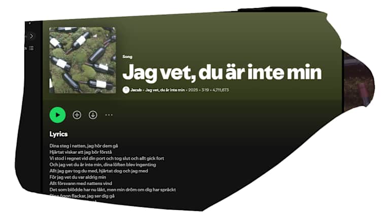utklippt bildkapning från Spotify.