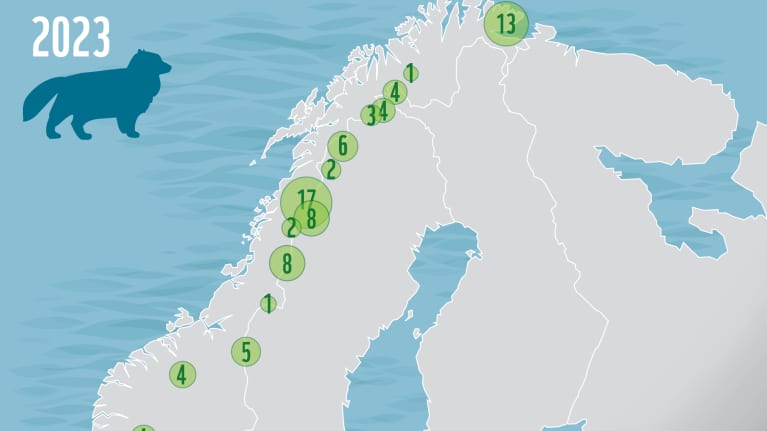 Karttakuva, johon merkitty naalien pesinnät Suomessa, Ruotsissa ja Norjassa vuonna 2023.